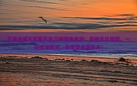 无锡去重庆武隆天生三桥团体旅游