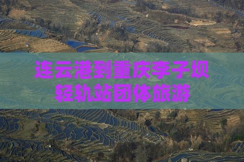 连云港到重庆李子坝轻轨站团体旅游
