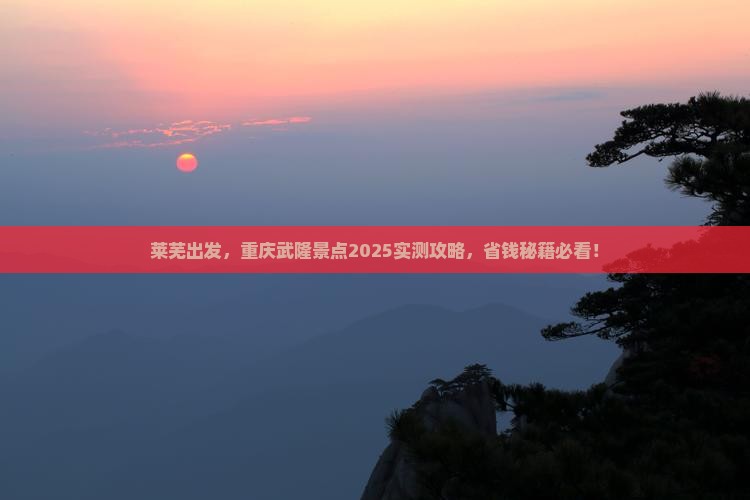 莱芜到重庆武隆景点