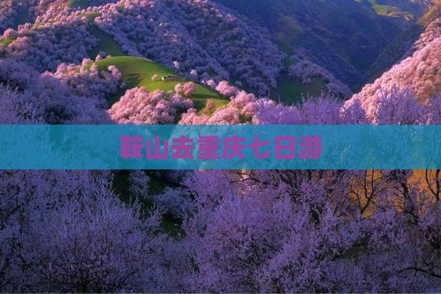鞍山去重庆七日游