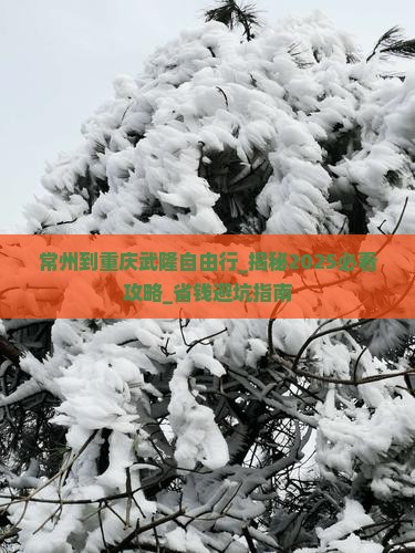 常州到重庆武隆自由行