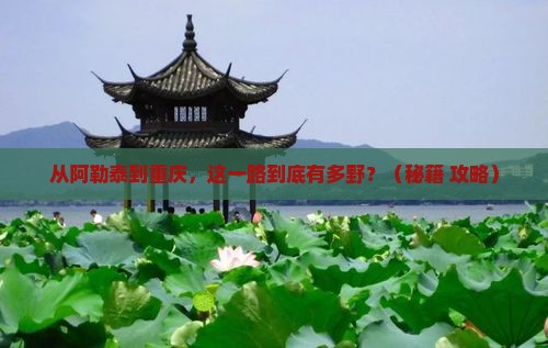 阿勒泰到重庆自由行