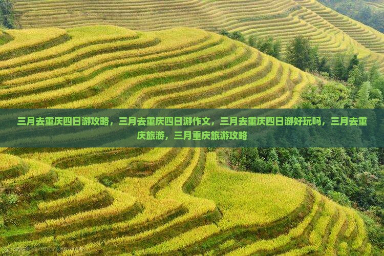 三月去重庆四日游