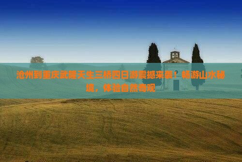 沧州到重庆武隆天生三桥四日游