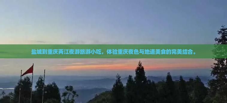 盐城到重庆两江夜游旅游小吃