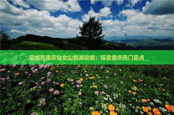 运城到重庆仙女山大型旅游团