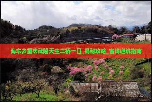 海东去重庆武隆天生三桥一日