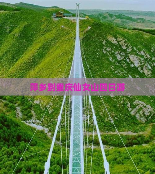 萍乡到重庆仙女山四日游