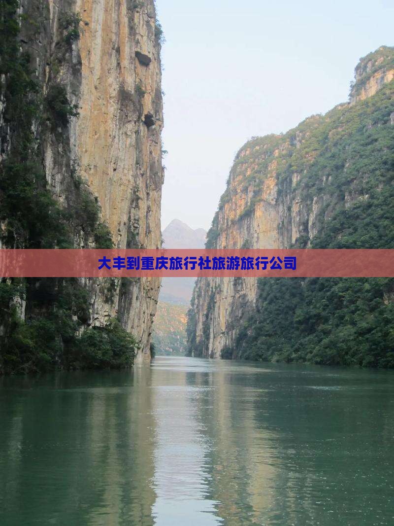 大丰到重庆旅行社旅游旅行公司