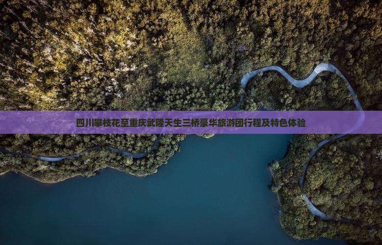 四川攀枝花至重庆武隆天生三桥豪华旅游团行程及特色体验