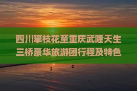 四川攀枝花至重庆武隆天生三桥豪华旅游团行程及特色体验