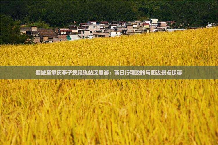 桐城至重庆李子坝轻轨站深度游：两日行程攻略与周边景点探秘