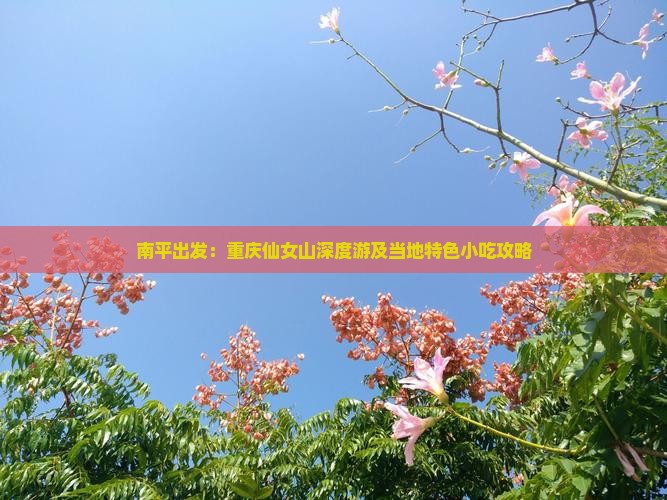 南平出发：重庆仙女山深度游及当地特色小吃攻略
