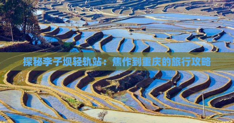 探秘李子坝轻轨站:焦作到重庆的旅行攻略 探秘李子坝轻轨站:焦作到重庆的旅行攻略