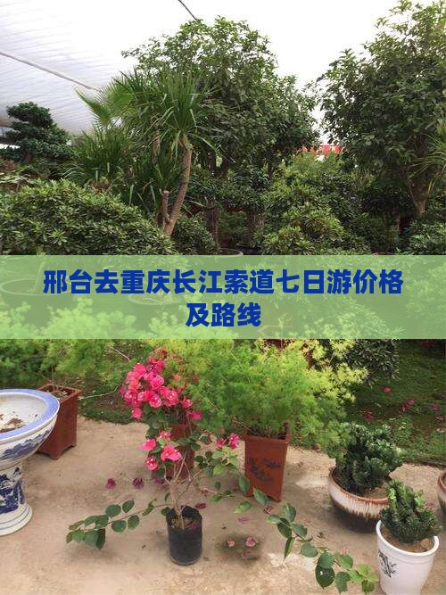 邢台去重庆长江索道七日游价格及路线