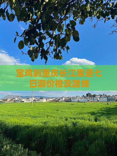 宝鸡到重庆长江索道七日游价格及路线