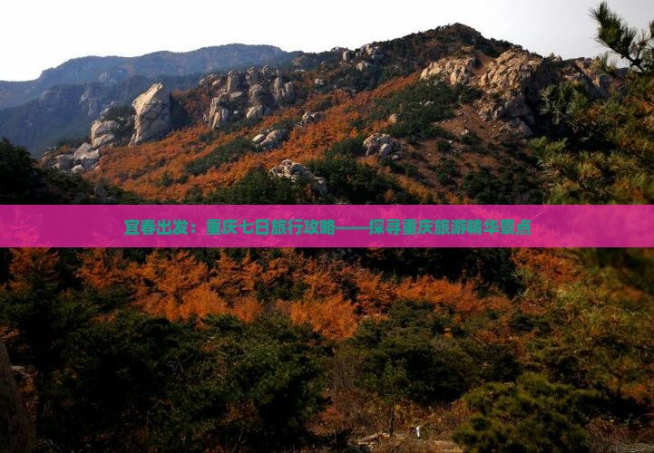 宜春出发：重庆七日旅行攻略——探寻重庆旅游精华景点