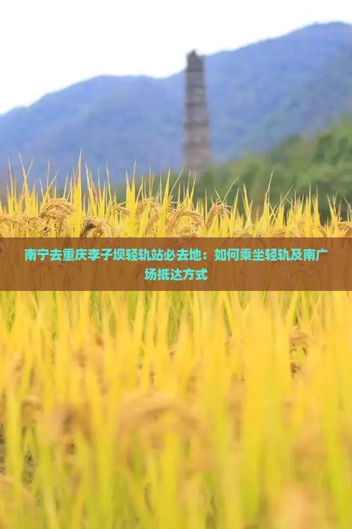 南宁去重庆李子坝轻轨站必去地：如何乘坐轻轨及南广场抵达方式