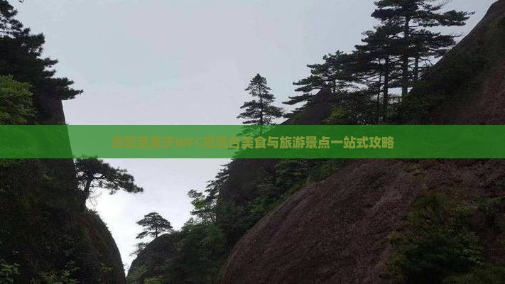 资阳至重庆WFC观景台美食与旅游景点一站式攻略