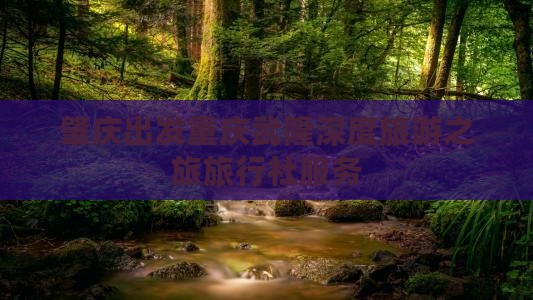 肇庆出发重庆武隆深度旅游之旅旅行社服务