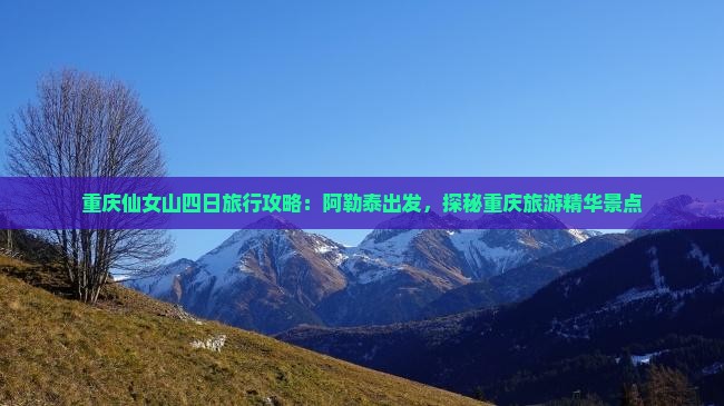 重庆仙女山四日旅行攻略：阿勒泰出发，探秘重庆旅游精华景点