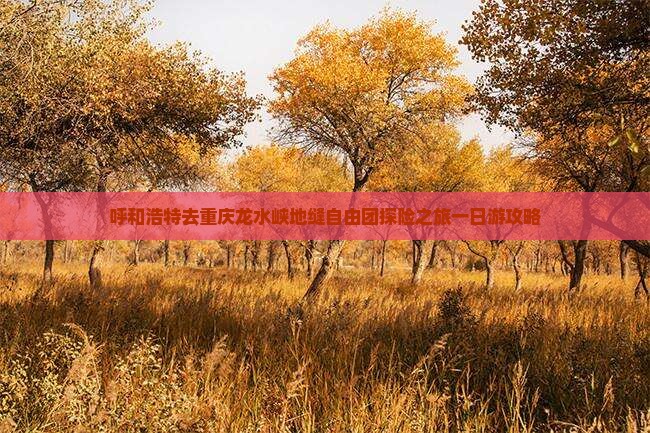 呼和浩特去重庆龙水峡地缝自由团探险之旅一日游攻略