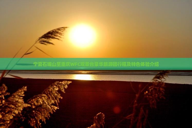 宁夏石嘴山至重庆WFC观景台豪华旅游团行程及特色体验介绍