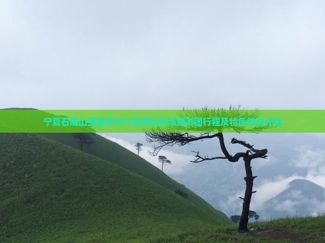 宁夏石嘴山至重庆WFC观景台豪华旅游团行程及特色体验介绍