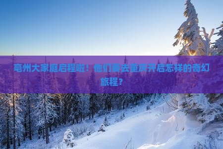 亳州去重庆大型旅游团