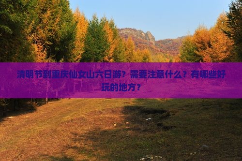 清明节到重庆仙女山六日游