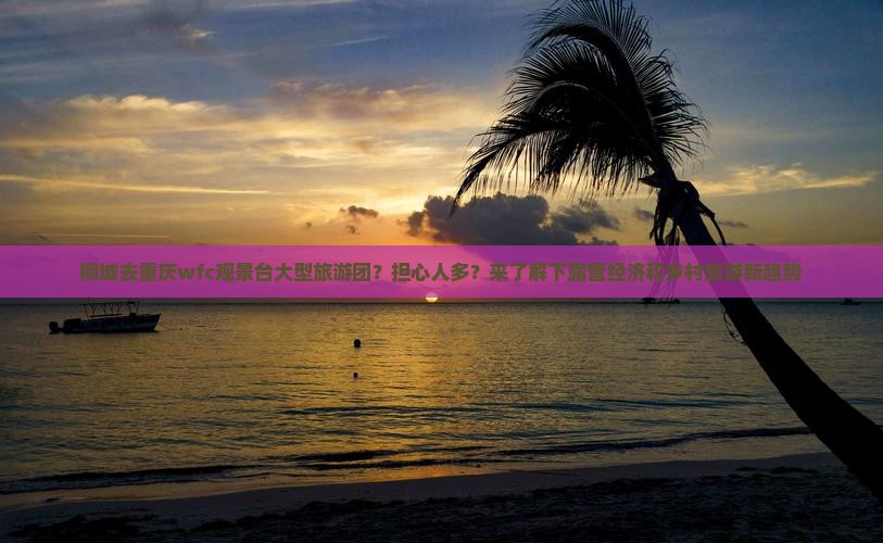 桐城去重庆wfc观景台大型旅游团