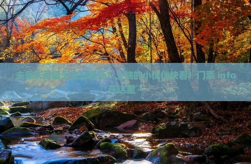 上饶去重庆武隆天生三桥门票