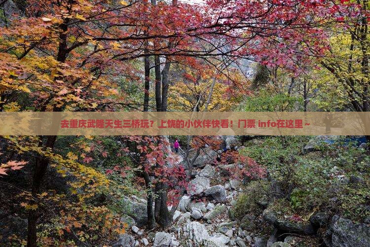 上饶去重庆武隆天生三桥门票