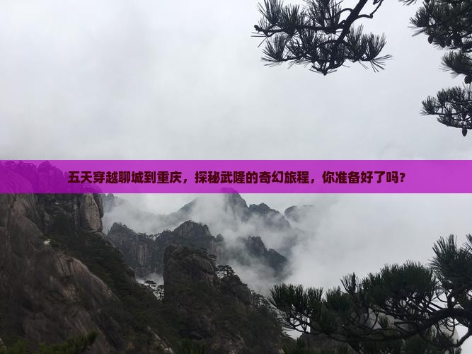 聊城去重庆武隆五日游