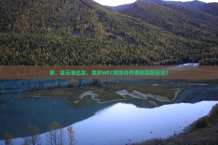 连云港到重庆wfc观景台哪里玩