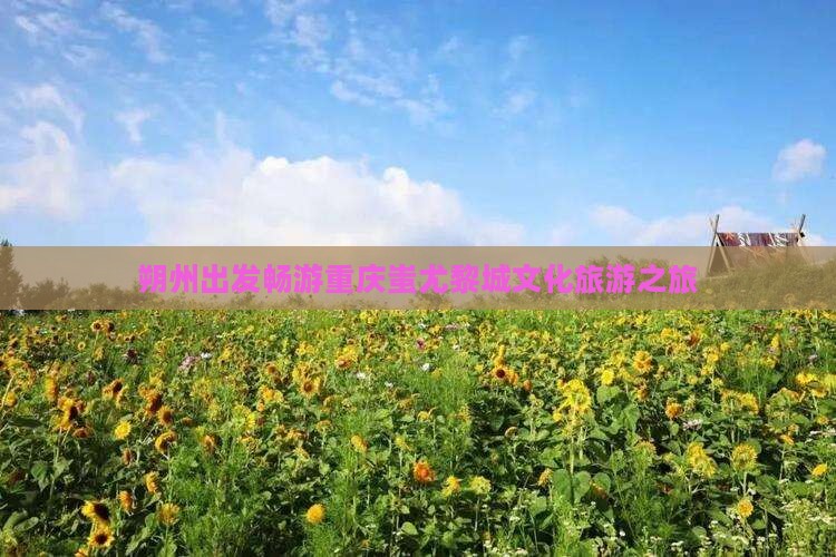 朔州到重庆蚩尤九黎城旅行社