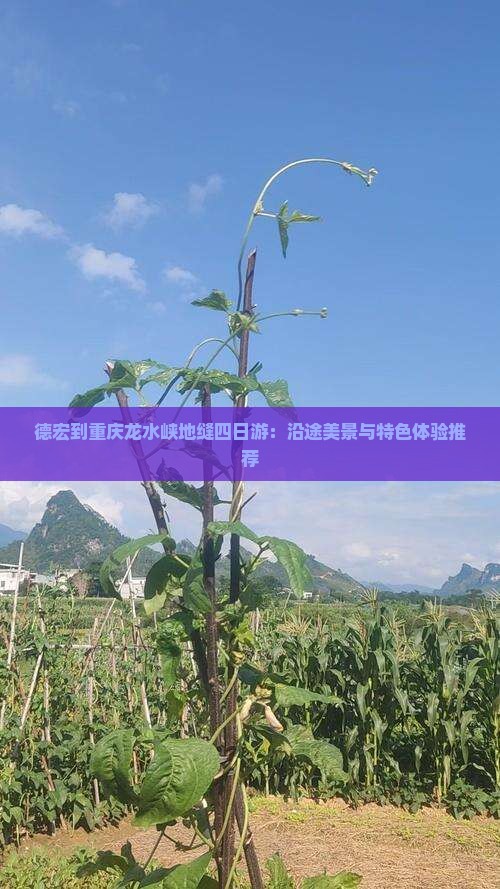 德宏到重庆龙水峡地缝四日游