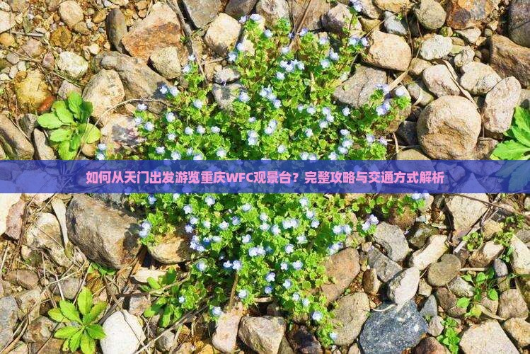 天门去重庆wfc观景台旅游