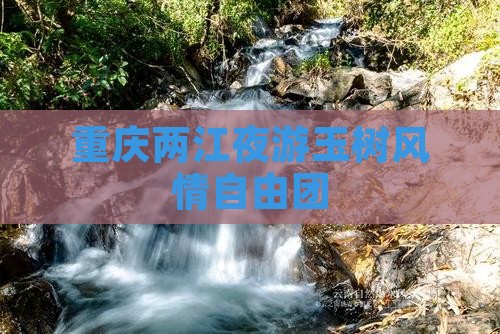 玉树到重庆两江夜游自由团