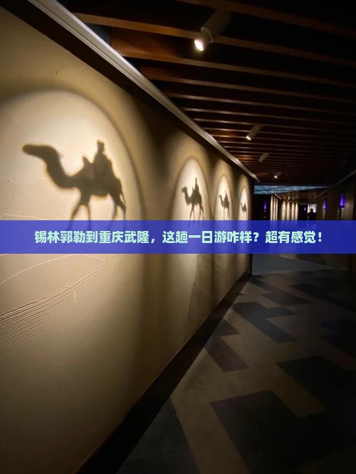 锡林郭勒盟去重庆武隆一日