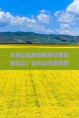 唐山到重庆仙女山景点
