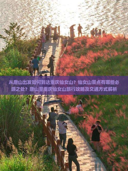 唐山到重庆仙女山景点