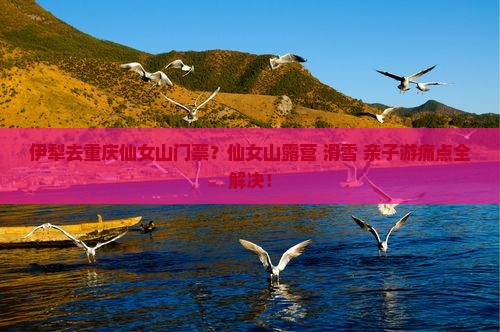 伊犁去重庆仙女山门票