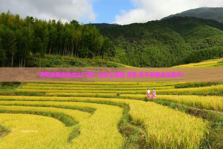 伊犁去重庆仙女山门票