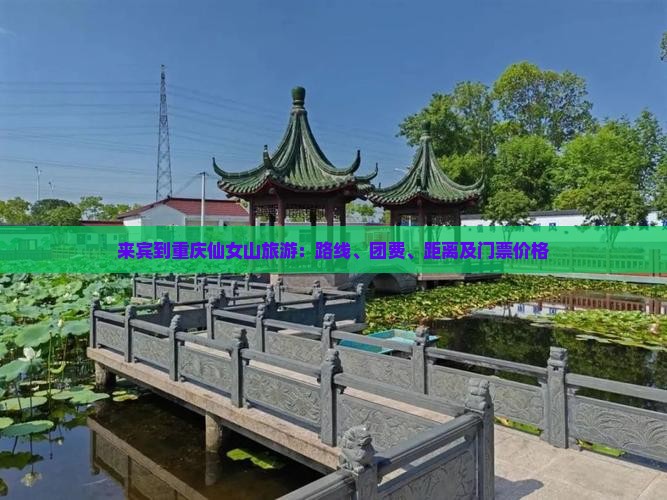 来宾到重庆仙女山旅游