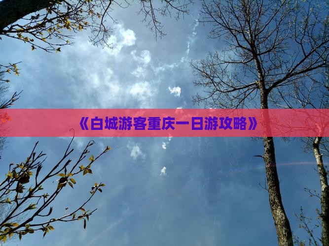 白城去重庆一日