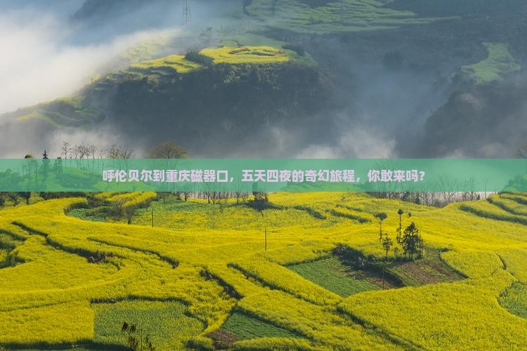 呼伦贝尔到重庆磁器口五日游
