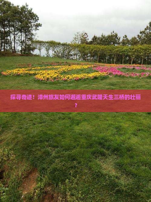漳州去重庆武隆天生三桥旅行社