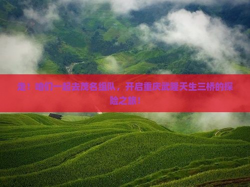 茂名去重庆武隆天生三桥团体旅游