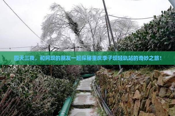 阿坝去重庆李子坝轻轨站四日游